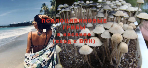 мескалин Белокуриха