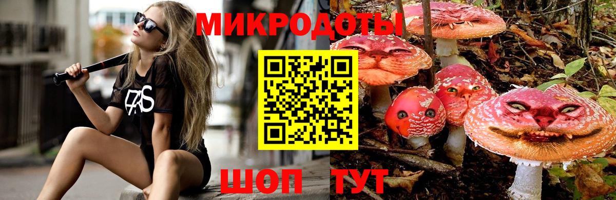 Псилоцибиновые грибы мицелий Гатчина